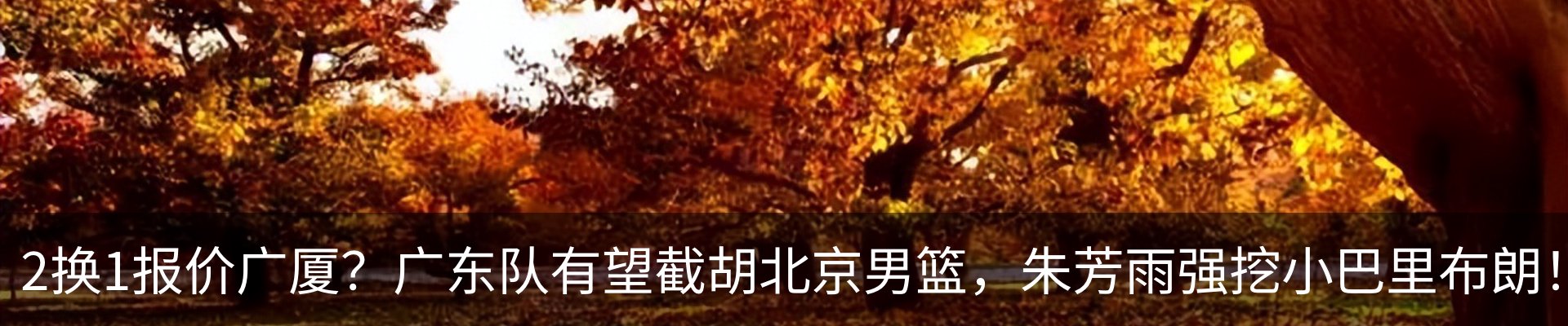新闻中心